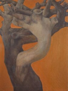 Yaşlı Kıbrıs Akasyası 60x80 Cm.Tuv.Üz.Y.Boya